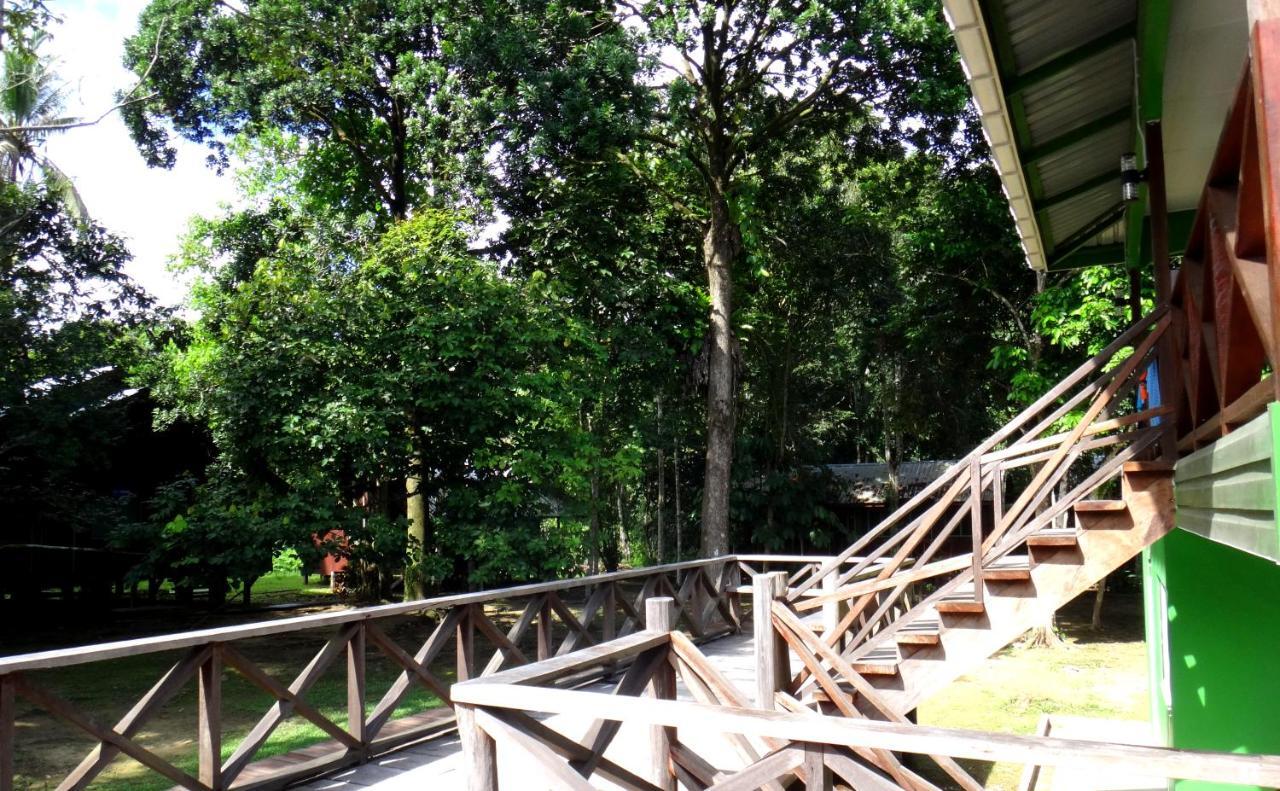Sukau Greenview Bed&Breakfast Luaran gambar